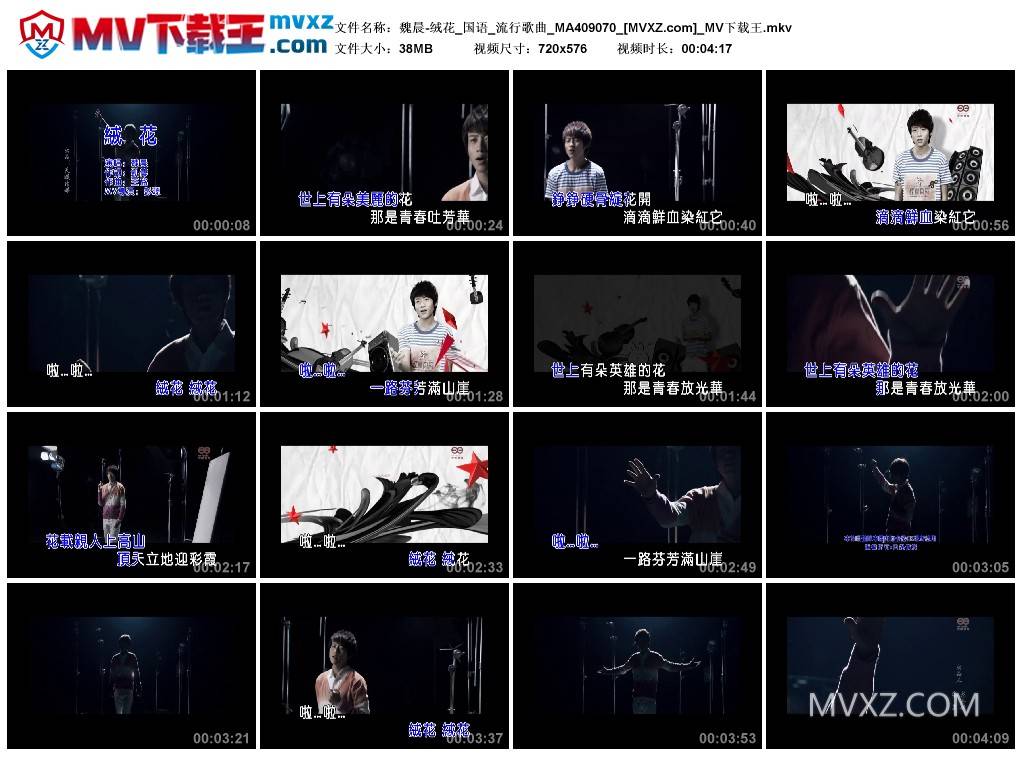 魏晨-绒花_国语_流行歌曲_MA409070